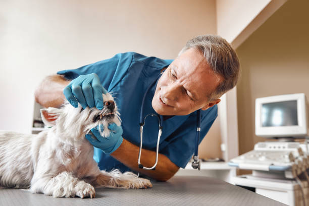 Best Urgent Dental Care in Vinton, TX